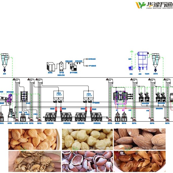 杏核/榛子/巴旦木脫殼成套設備