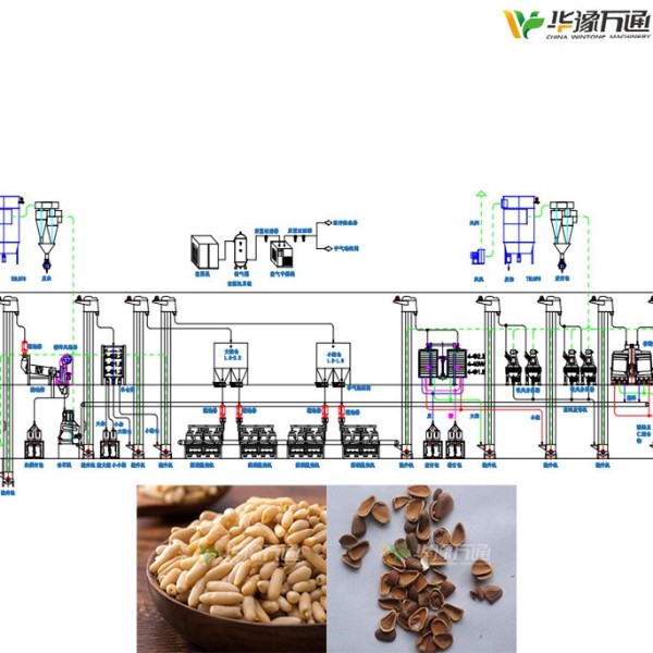 巴基斯坦松子脫殼成套設備